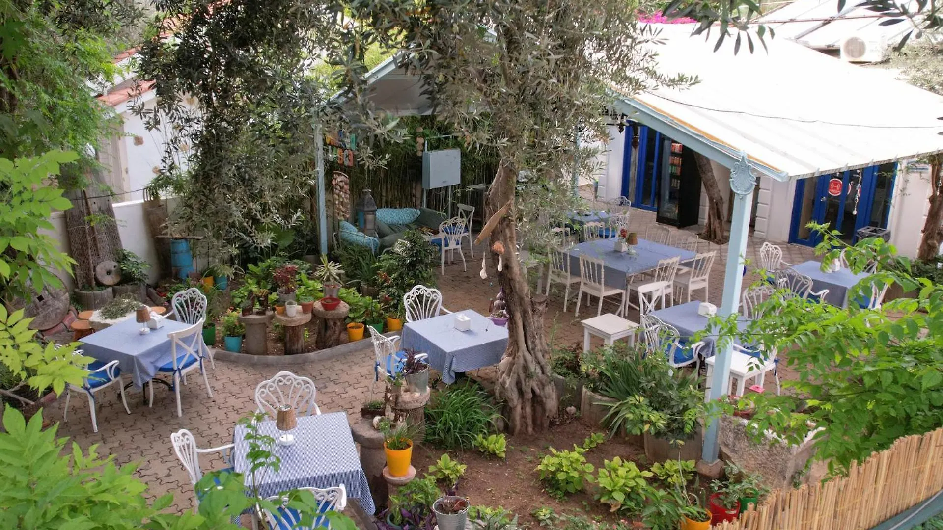 Sunmed Lodge Ölüdeniz Turkije