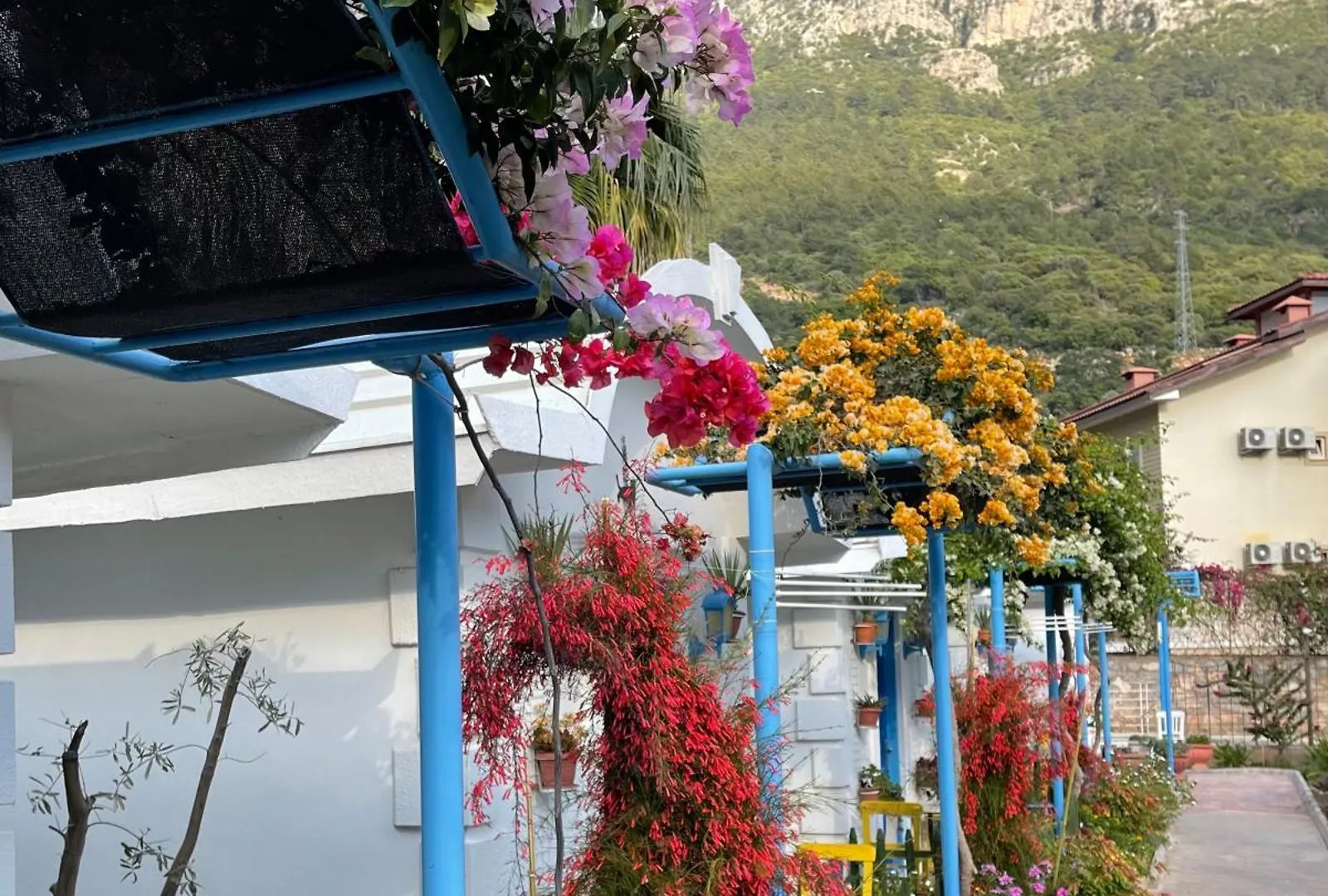 Sunmed Lodge Ölüdeniz Turchia